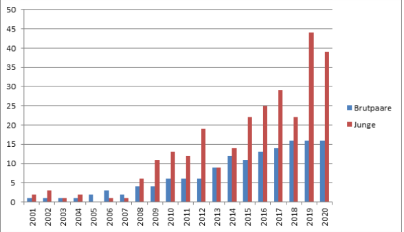 Bestandsentwicklung brütender Fischadlerpaare in Bayern 1992-2020