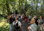 Dienstbesprechung der Naturschutzbehörden der Oberpfalz mit Exkursion in den Alleen-Gürten der Stadt Regensburg
